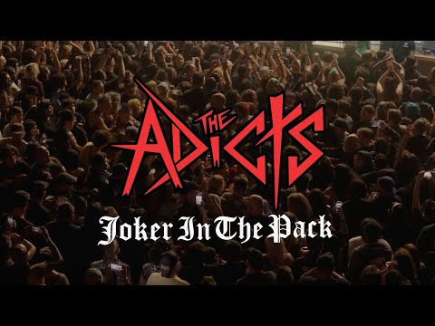 The Adicts - Joker in the Pack (LIVE) - May 2025