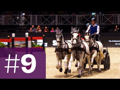 Bram Chardon becomes the youngest Driving Champion ever! | No. 9 | Top Moments 2019