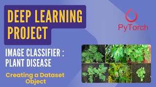 Download the video "Deep Learning Project: Plant Disease Detection | PyTorch | Creating Custom Dataset"