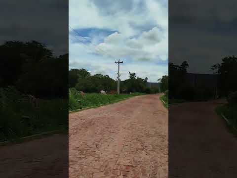 palmeira do Piauí quem e dó Piauí aí da um alô aí um ótimo final de ano pra todos nós e muita paz