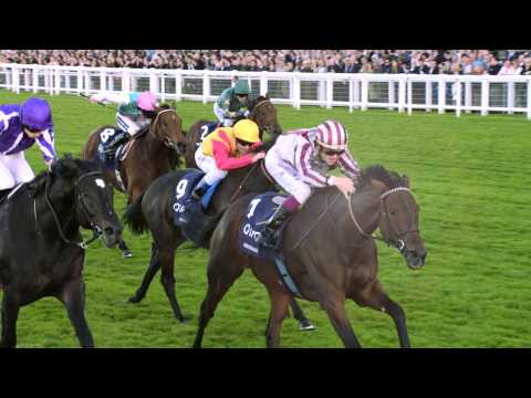 QIPCO British Champions Series