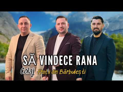 SA VINDECE RANA❤️‍🩹 COLAJ Frati din Barbulesti (Sorin,Elvis,Robert)