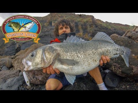 Lure Fishing For Big Sea Bass👉 (Double figure sea bass on Samson lures pt 3)