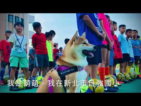 萌總柴上學趣-新北市109年校園犬貓影片網路票選活動