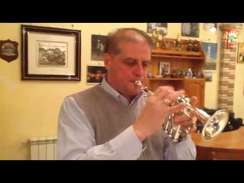 Santino Torre - Ligonziana - Di - Nino Ippolito