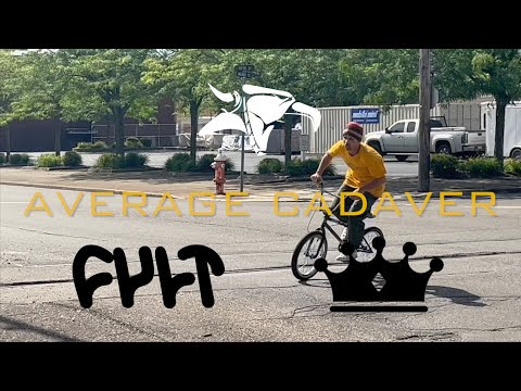 AVERAGE CADAVER - Steven Hamilton (2024)