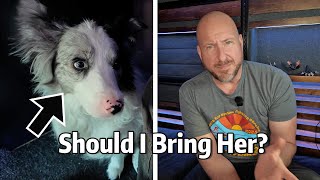 🚐🐾 Van Life Test: Can I Cycle Tour with My Dog Rose? 🐶🚴‍♂️