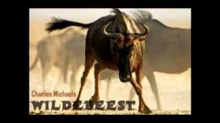 WILDEBEEST- THE CRAZIEST SONG EVER!!