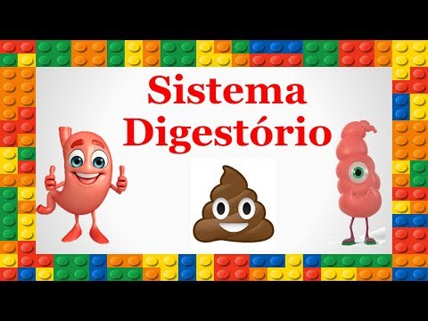Corpo Humano - Sistema Digestório - Estômago e Intestino