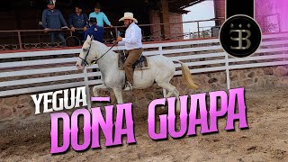 Chuy Lizárraga - El Vlog - Rancho El Aguacaliente -Yegua Doña Guapa