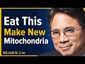 Top Foods Lifestyle Habits To Make New Mitochondria For Longevity Dr William Li