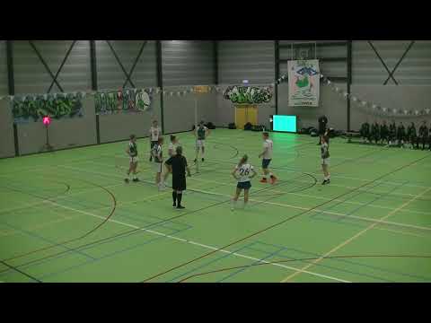 ASVD | PV Systems 1 - Wit-Blauw/Green Organics 1 (Doelpunten 18 jan 2020)