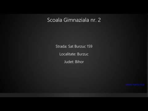 Scoala Gimnaziala nr. 2 Burzuc