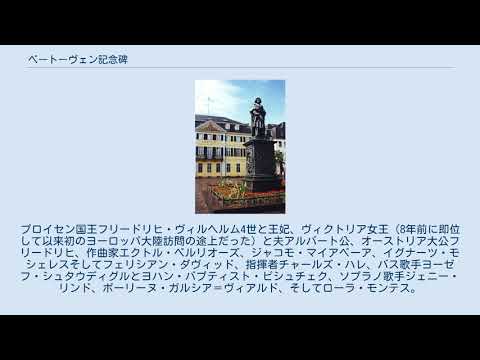 ホイファー・ウムラウフ氏への栄誉:ジョコ・ヴィンターシャイト氏が「クラース像」を除幕
