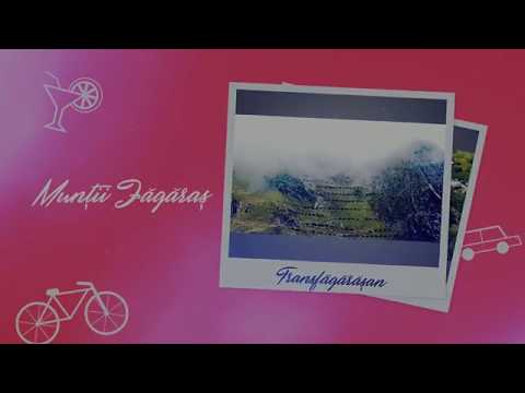 Jurnal de Călatorie prin Transilvania.