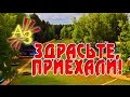 детская передача "здрасьте приехали" ДОЛ "Алые Зори" 2014 год 2 смена 