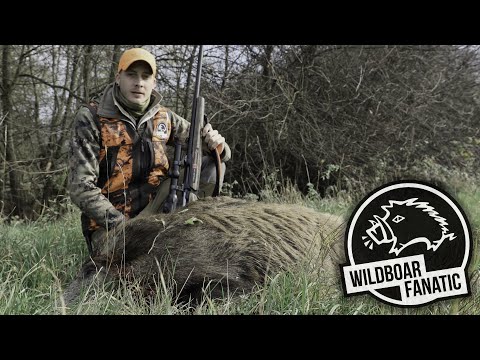 DRÜCKJAGD IN TSCHECHIEN VOL.3                                                            #Drivenhunt