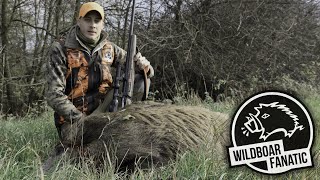 DRÜCKJAGD IN TSCHECHIEN VOL.3                                                            #Drivenhunt