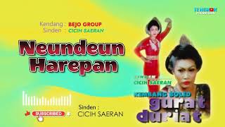 Download lagu NEUNDEUN HAREPAN - JAIPONGAN BEJO GROUP mp3