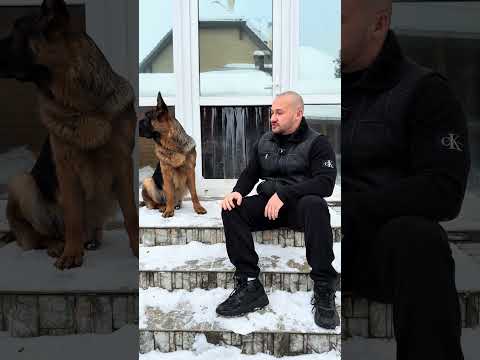 Моя собака УТОНУЛ в пруду