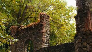 Cover art for kill u