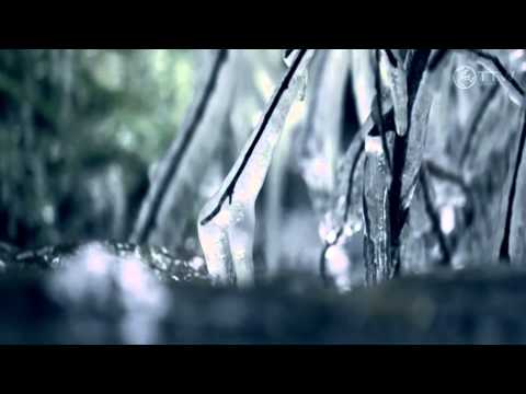 Conrad Winged - Mystic River (Original Mix) [Music Video] [Above The Clouds]