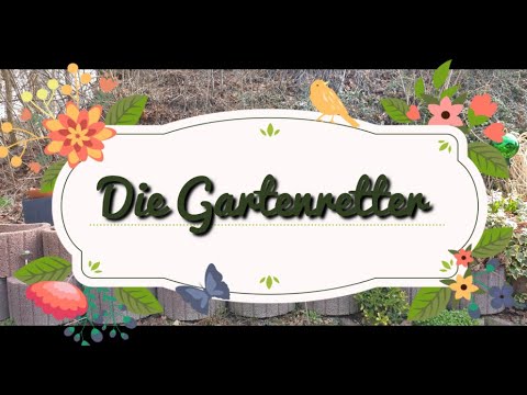 Aladdins Gartenretter