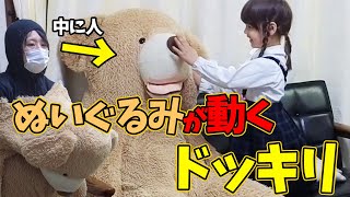 【娘ドッキリ】巨大ぬいぐるみが襲いかかってきたら4歳児は泣き叫ぶ？　#ドッキリ #ぬいぐるみ #娘 #かわいい