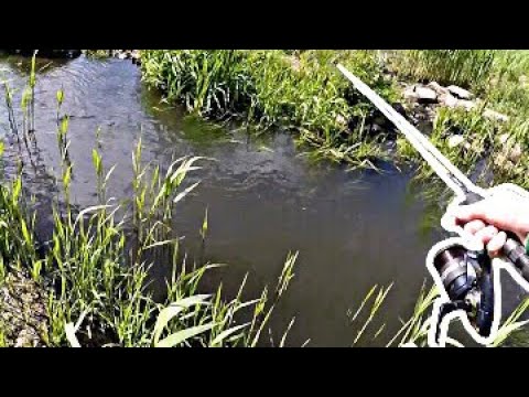 Ultra Light Angeln am kleinen BACH mit Erfolg