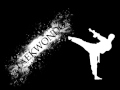 4IP - Taekwondo (Russian song / Таэквондо песня) 