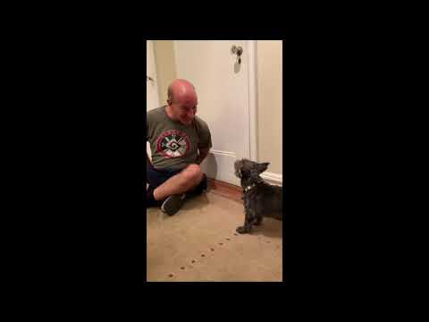 New York Guitar Seminar with David Leisner!