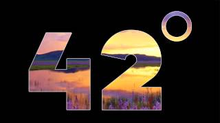 NT89 - Purple Garden