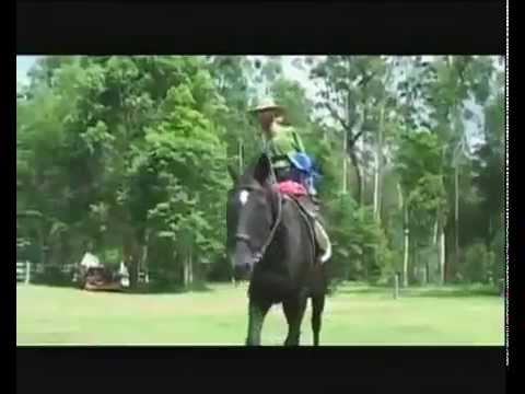 Viata lui Nick Vujicic fara maini si fara picioare subtitrat in romana