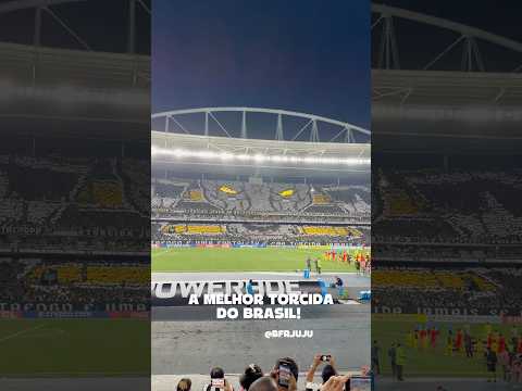 "Ninguém faz festa como a torcida do Botafogo! Mais um mosaico incrível " Barra: Loucos pelo Botafogo &bull; Club: Botafogo