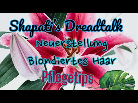 Shapatis Dreadtalk - Neuerstellung blondiertes Haar - Pflegetips