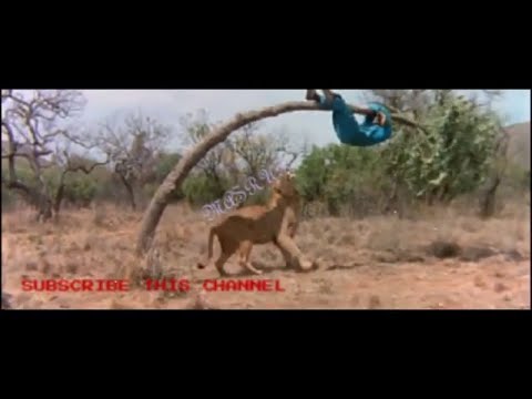 When hunter becomes hunted: ha ha ha