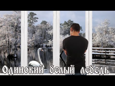 "ОДИНОКИЙ БЕЛЫЙ ЛЕБЕДЬ" -  автор и исполнитель - Слава Корецкий