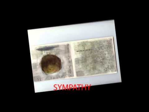 MILITANT PAZIFISTS - SYMPATHY