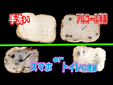 携帯電話をどのくらいの頻度で消毒する必要がありますか?