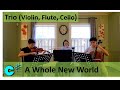 Disney S Aladdin A Whole New World Violin Flute Cello Trio