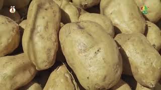 An IV du MPSR II: les habitudes agricoles évoluent avec des innovations dans les champs