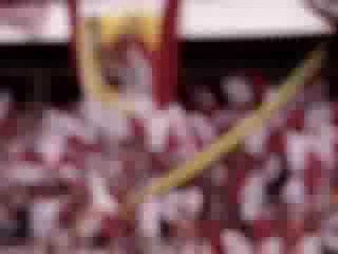 Inter 1x1 figueirense, torcida, campo by Fred