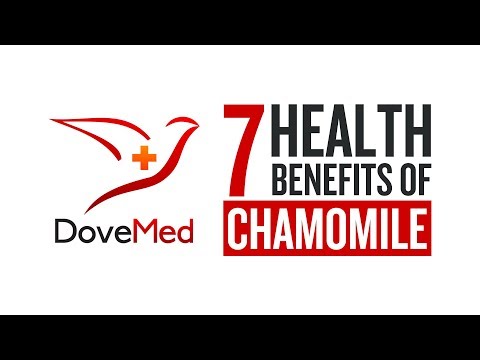 7 Health Benefits Of Chamomile