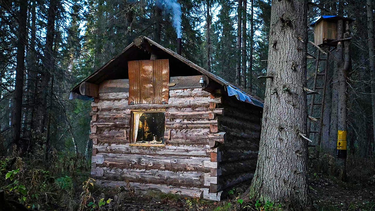 УШЁЛ НА ОХОТУ С СОБАКОЙ С НОЧЕВКОЙ В ИЗБЕ. ПЛАН ПО РЯБЧИКУ ВЫПОЛНЕН.