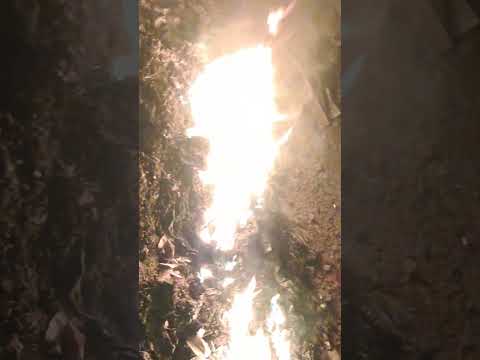 #remix #music #80smusic #automobile #bhfyp #love #phonkagressive #fortnitefunny #fortnite #song