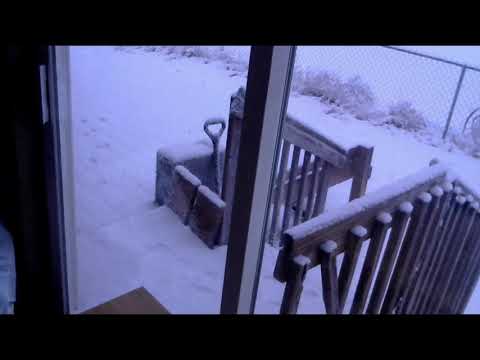 Northern Colorado Snow Time Lapse - 03 14 2021