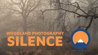 Landscape Photography | Woodland | Silence | #landscapephotography