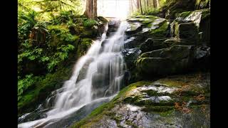 Msica Relaxante | Harmonizao e Motivao