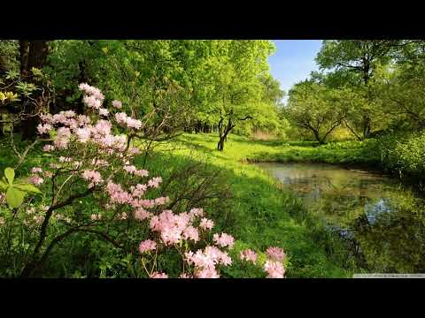 Adip Kiyoi feat. Romy Wave - Found You (Christopher Corrigan Remix) [Suanda]