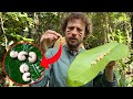 Trucos para sobrevivir en la selva | ¿Qué insectos y hongos comer?